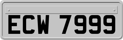 ECW7999