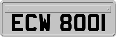 ECW8001