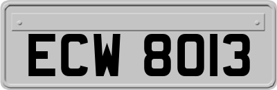 ECW8013