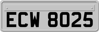 ECW8025