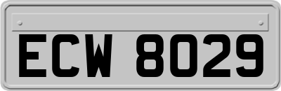 ECW8029