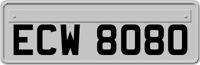 ECW8080