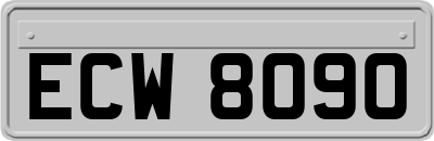 ECW8090