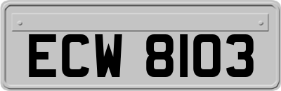 ECW8103