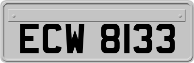 ECW8133
