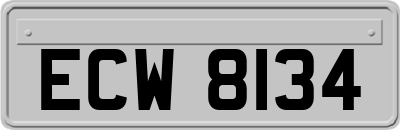 ECW8134