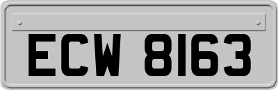 ECW8163