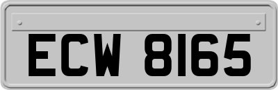 ECW8165
