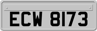ECW8173