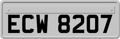 ECW8207