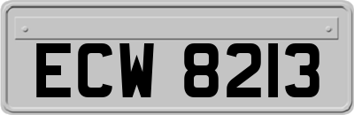 ECW8213