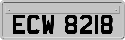 ECW8218