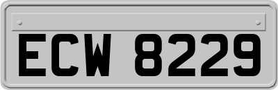 ECW8229