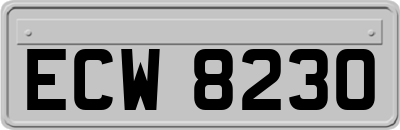 ECW8230
