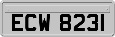 ECW8231
