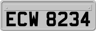 ECW8234