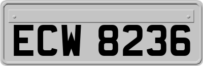 ECW8236