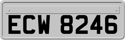 ECW8246