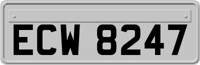 ECW8247