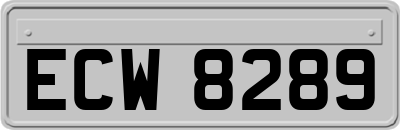 ECW8289