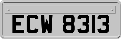 ECW8313