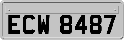 ECW8487