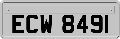 ECW8491