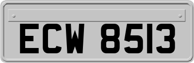 ECW8513