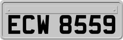 ECW8559