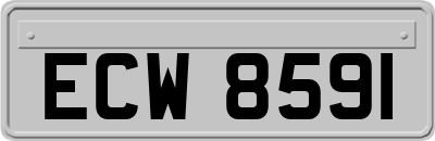 ECW8591