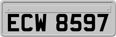 ECW8597