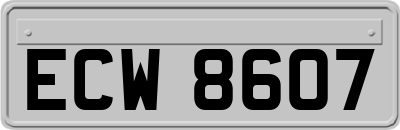 ECW8607