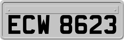 ECW8623
