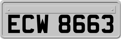 ECW8663