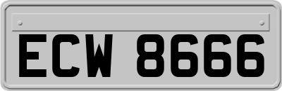 ECW8666