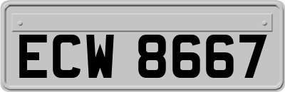 ECW8667