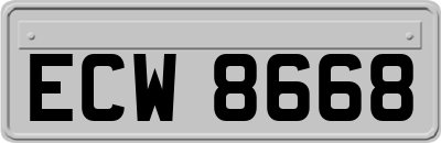 ECW8668