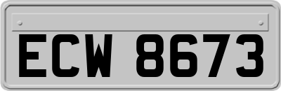 ECW8673