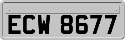 ECW8677
