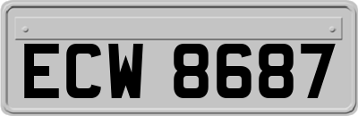 ECW8687