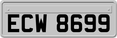 ECW8699