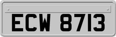 ECW8713