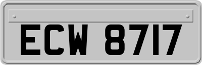 ECW8717