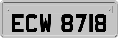 ECW8718