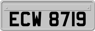 ECW8719