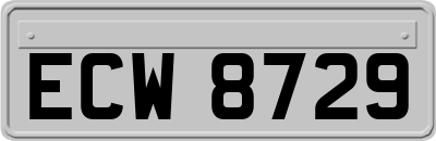 ECW8729