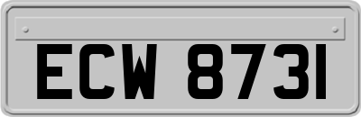 ECW8731