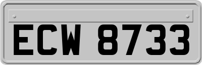 ECW8733