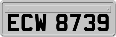 ECW8739