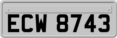 ECW8743
